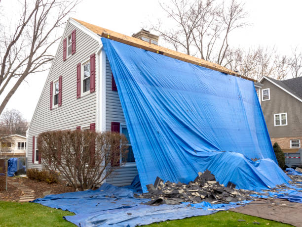Best Historical Building Siding Restoration  in Three Points, AZ