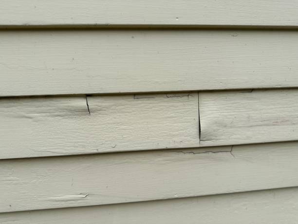 Siding for Commercial Buildings in Three Points, AZ